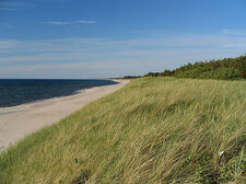 Morska plaża w Dąbkach