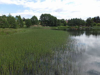 Studzienice. Jezioro Studzieniczno